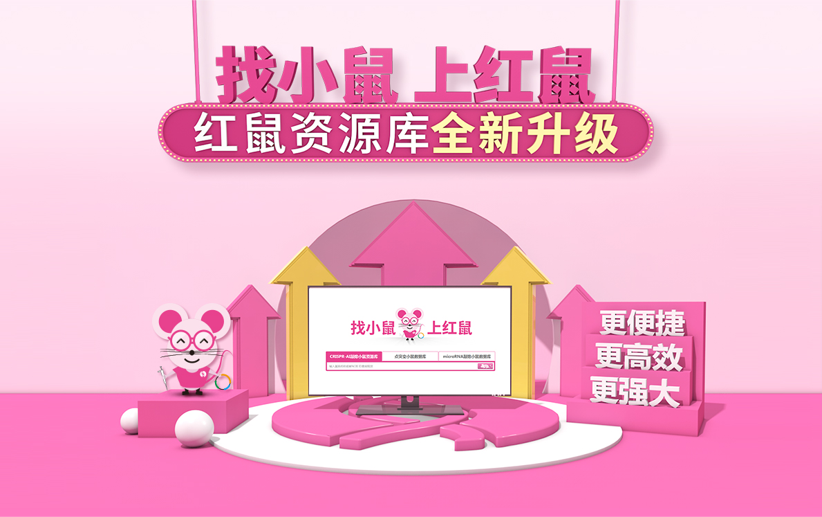 找小鼠 上红鼠 红鼠资源库全新升级 更强大 更高效 更便捷