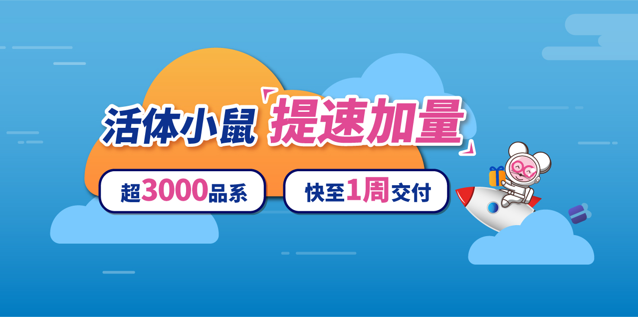 基因敲除、条件性敲除活体小鼠 周周秒杀 极速发货