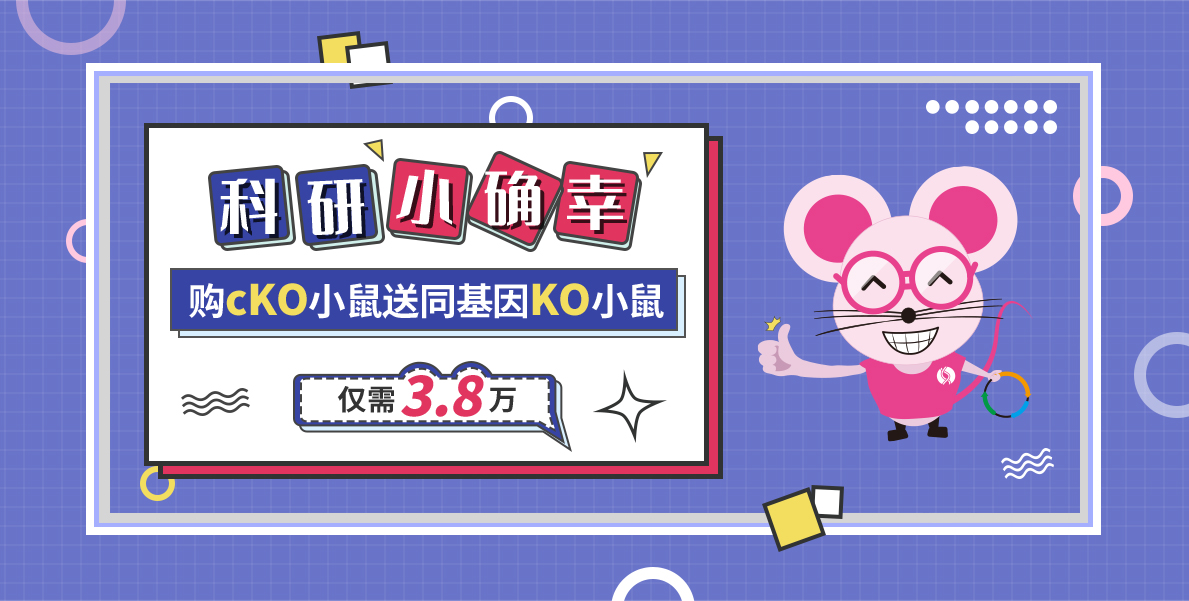科研小确幸 购cKO小鼠送同基因KO小鼠 仅需3.8万