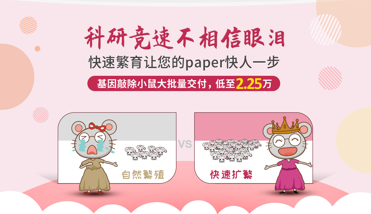 科研竞速不相信眼泪 快速繁育让您的paper快人一步 基因敲除小鼠大批量交付，低至2.2万